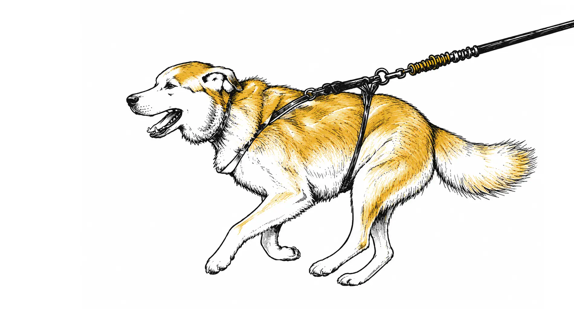 Dogtrekking background